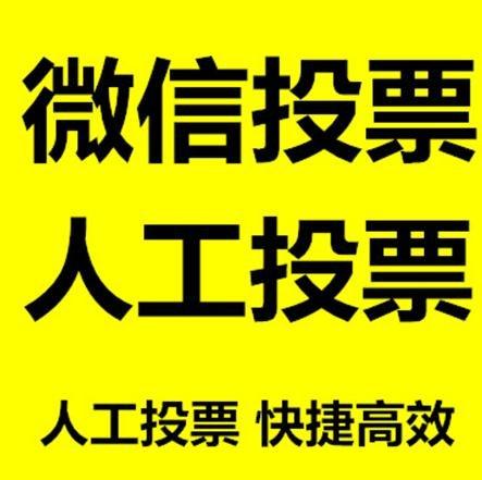 鹤壁市投票活动拉票能被查出来吗？如何操作能不被发现？